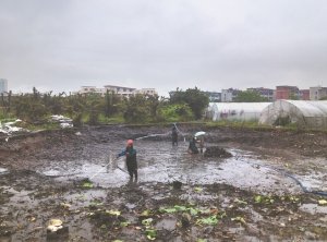 孟村河道鱼塘清淤